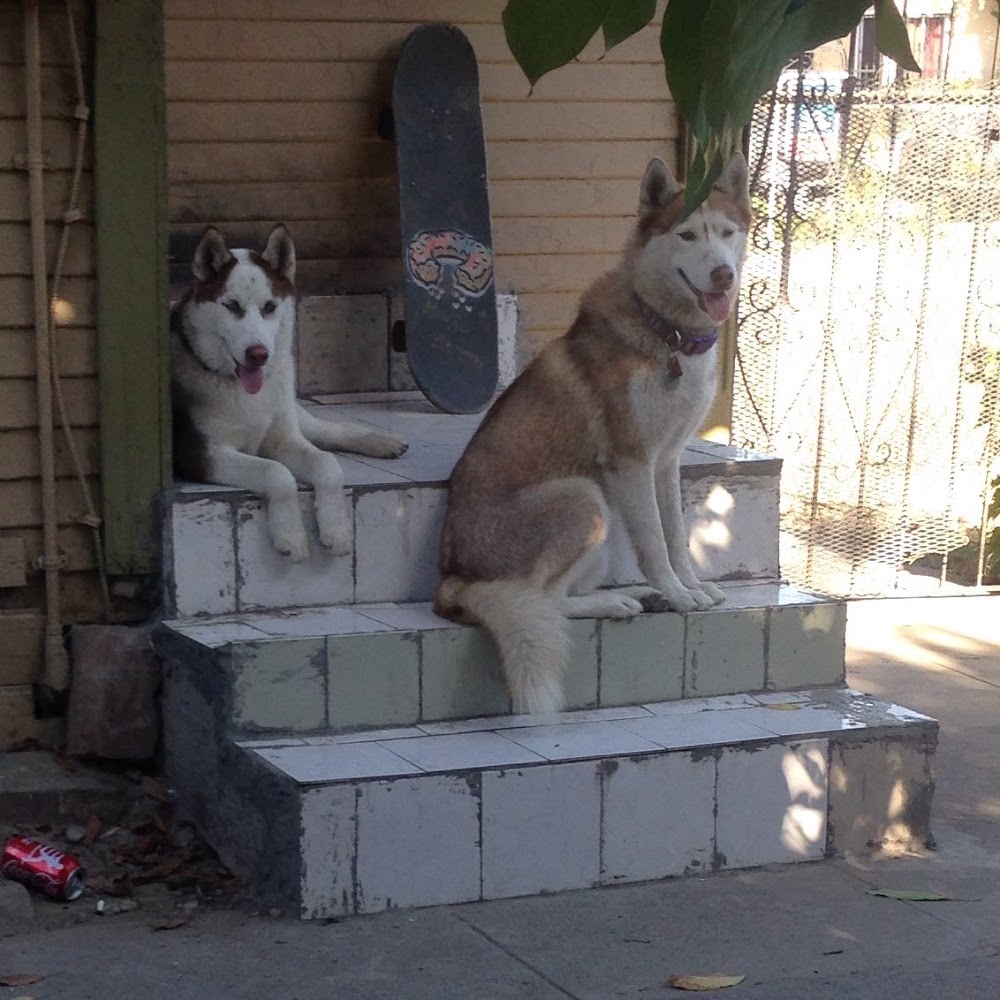 Meet your Posher, Karissa